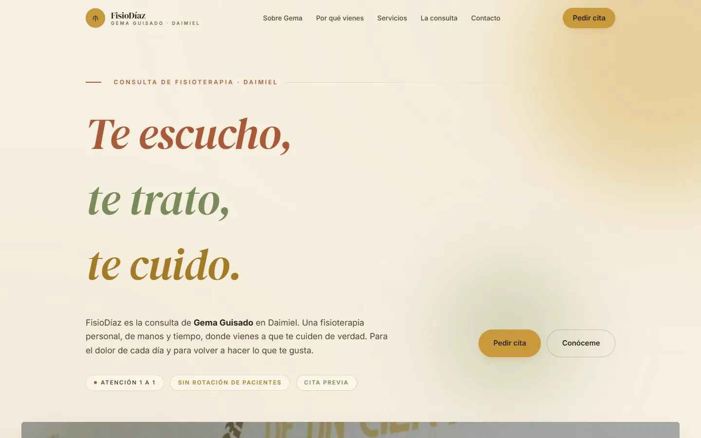 Captura de FisioDíaz